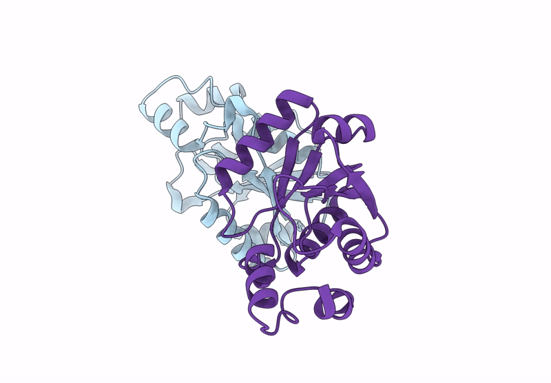 8XSK image