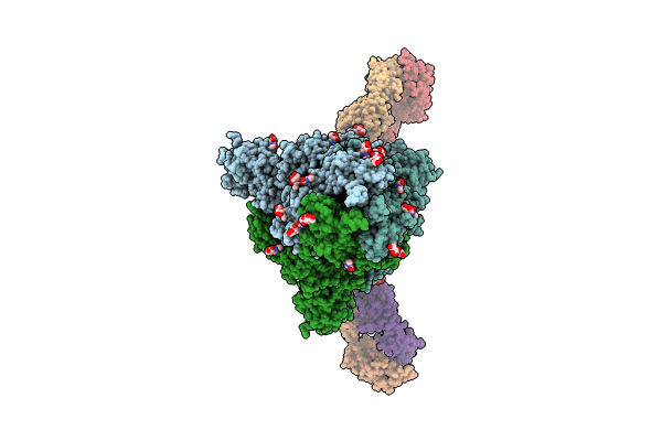 8XSL image