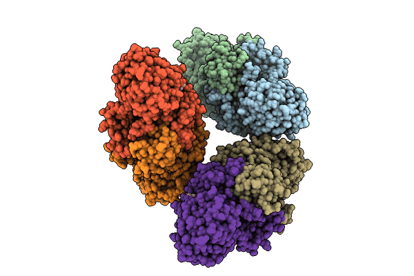 8XTE image
