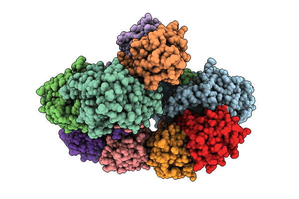 8XUP image