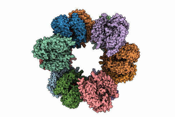 8XUV image