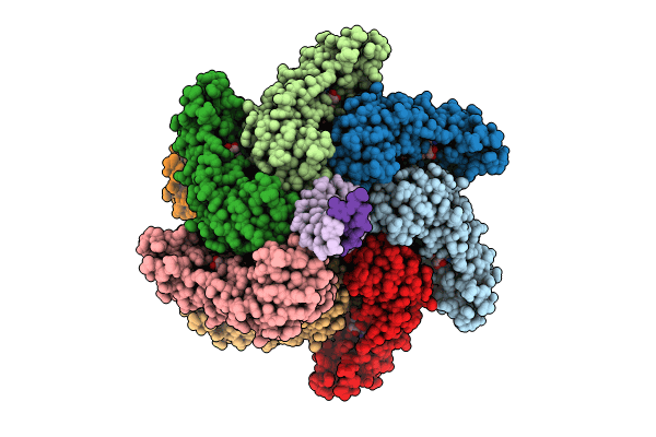8XVB image