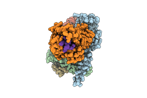 8XVH image