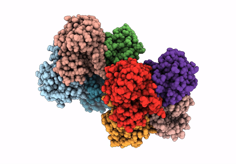 8XVN image