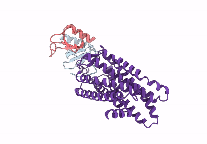 8XVU image