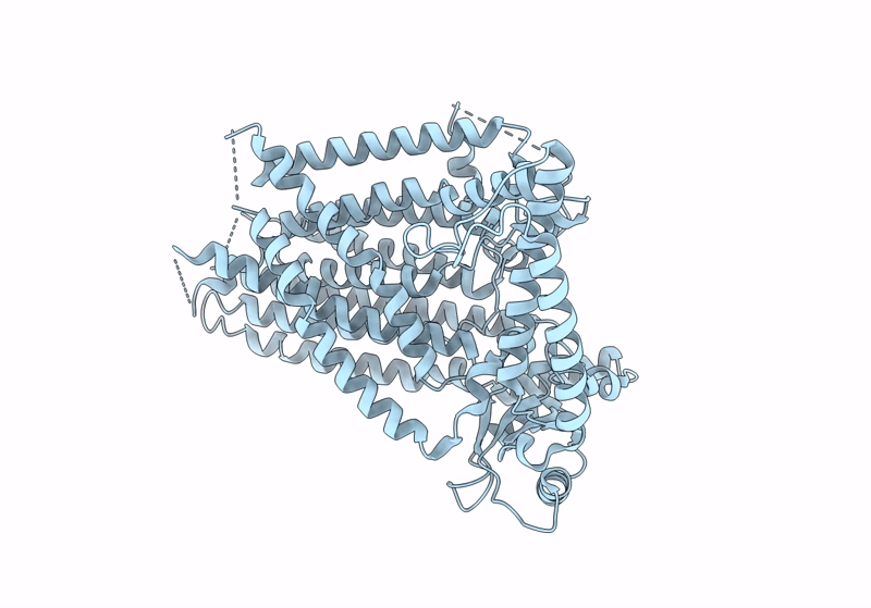 8XW1 image