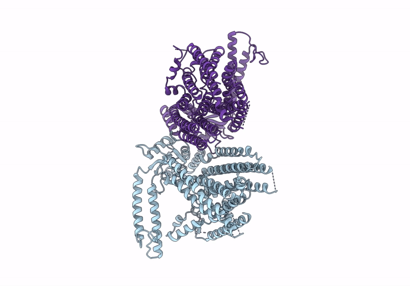 8XW3 image