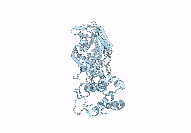 8XWT image