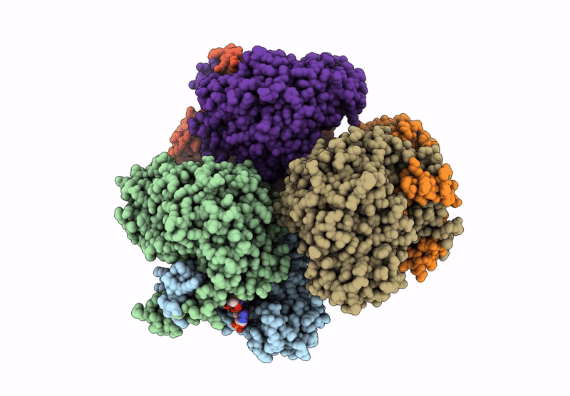 8XXF image
