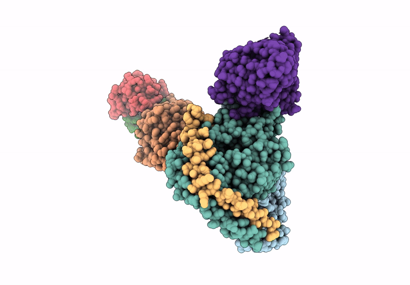 8XXH image