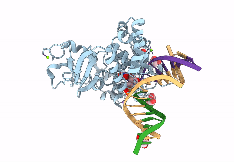 8XXK image