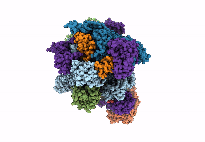 8XXT image