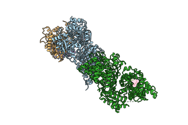 8XYA image