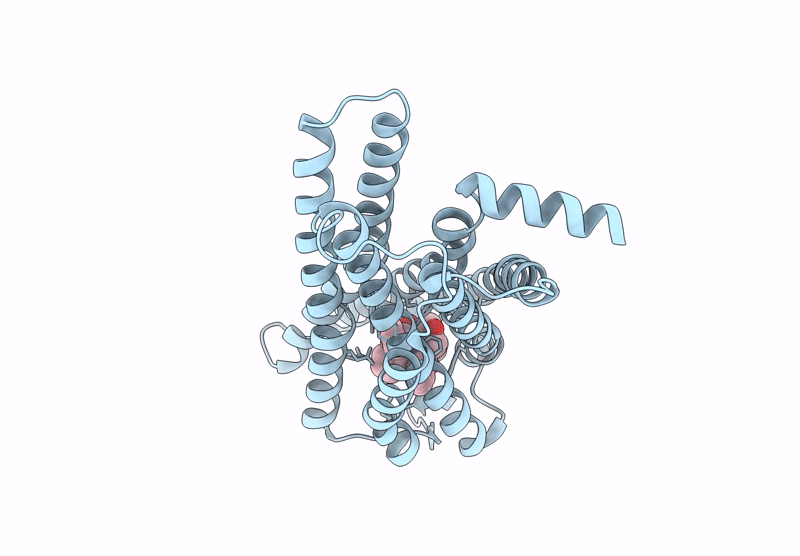 8XYI image