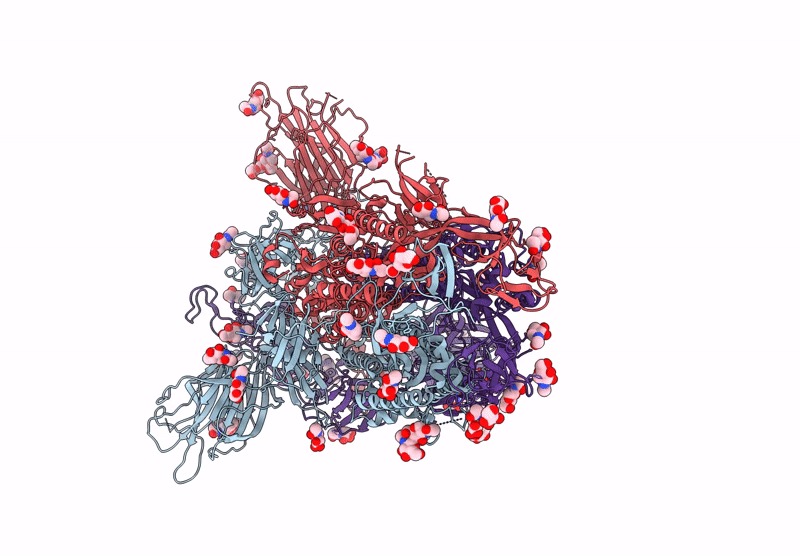 8XYM image