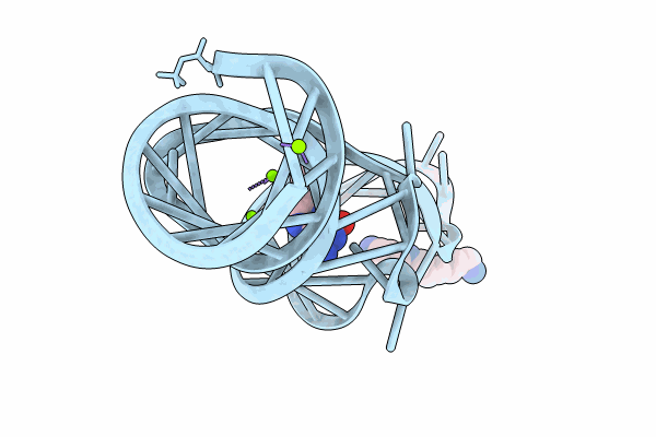8XZM image
