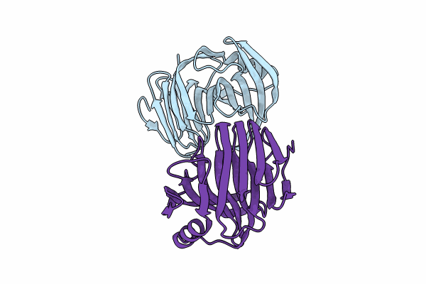8XZX image