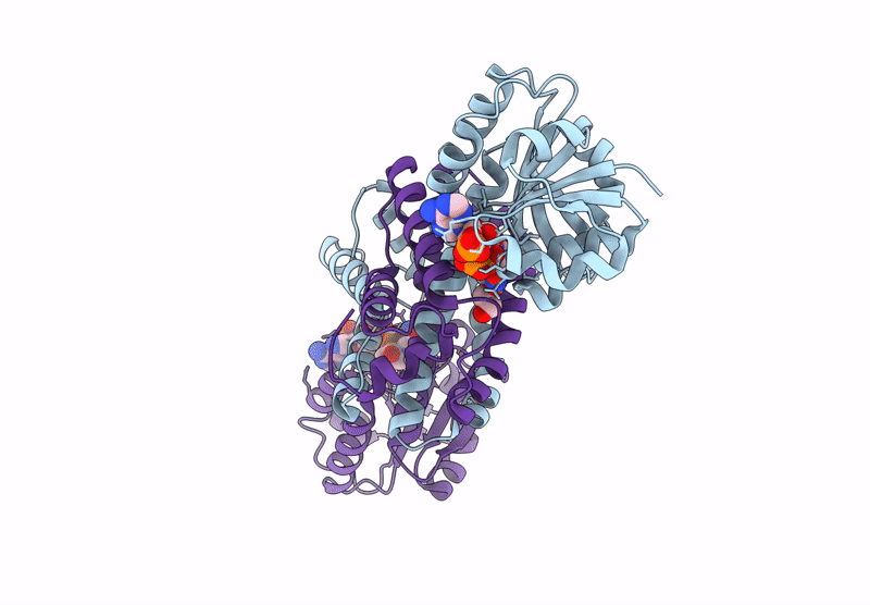 8Y12 image