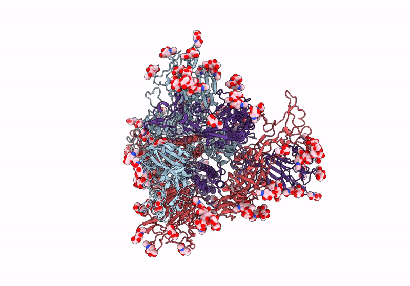 8Y1A image