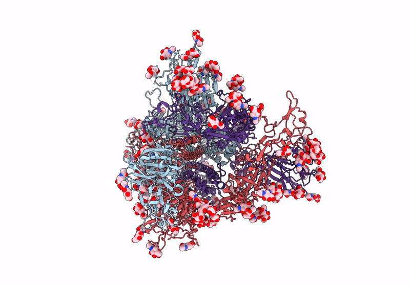 8Y1B image