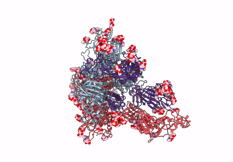 8Y1C image