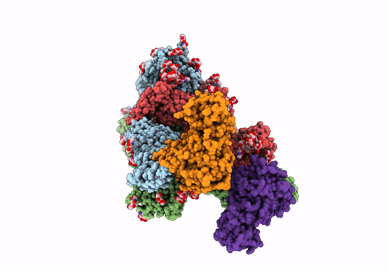 8Y1D image