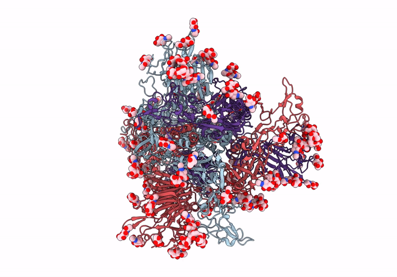 8Y1F image