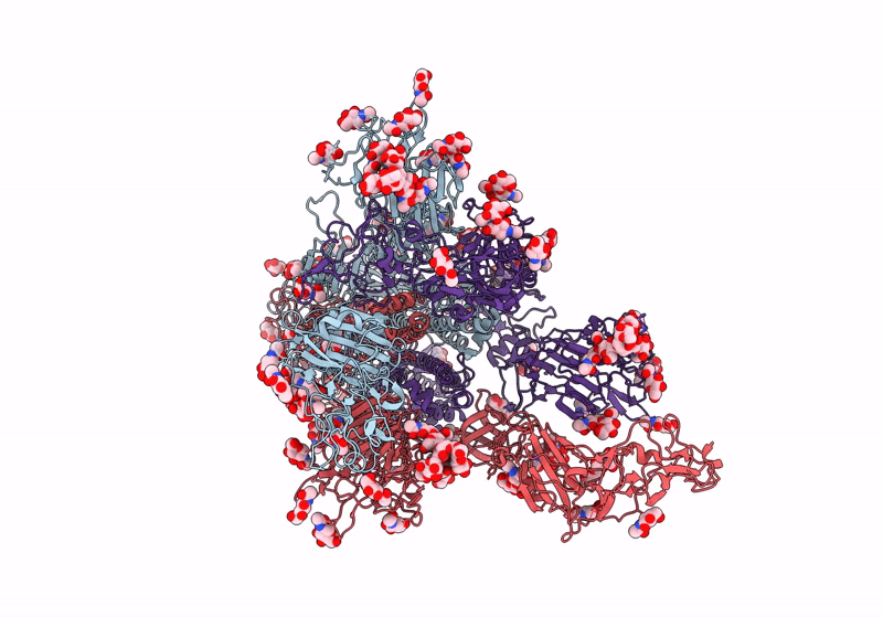 8Y1H image