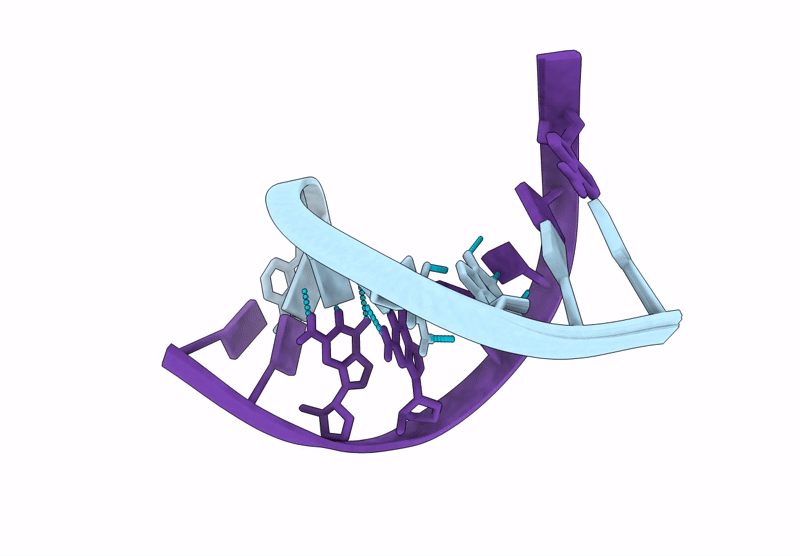 8Y1I image