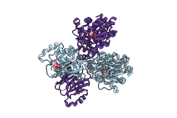 8Y1J image