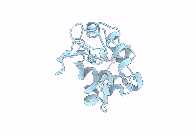 8Y1S image