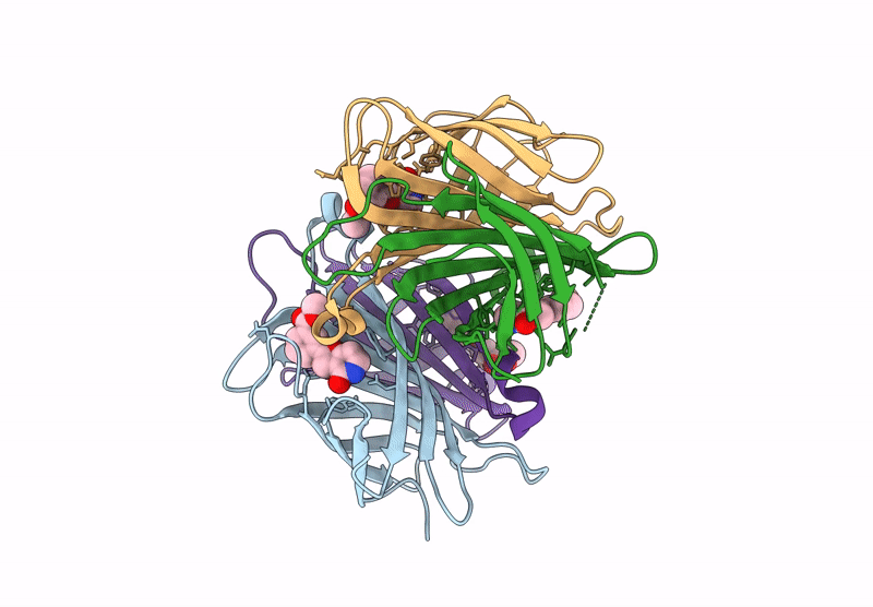 8Y2A image