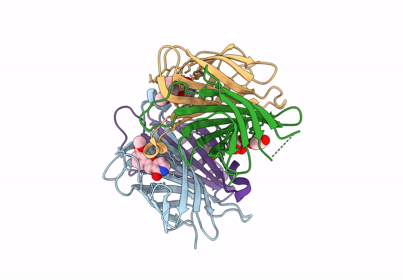 8Y2B image