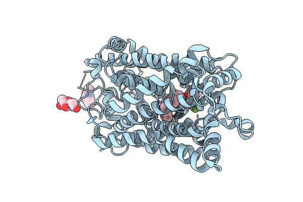 8Y2F image