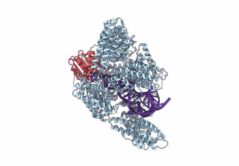 8Y2O image
