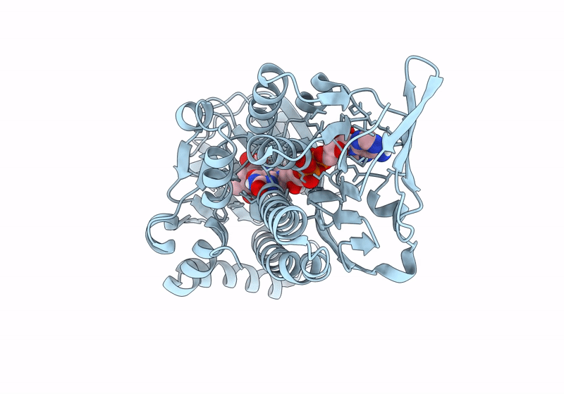 8Y2S image