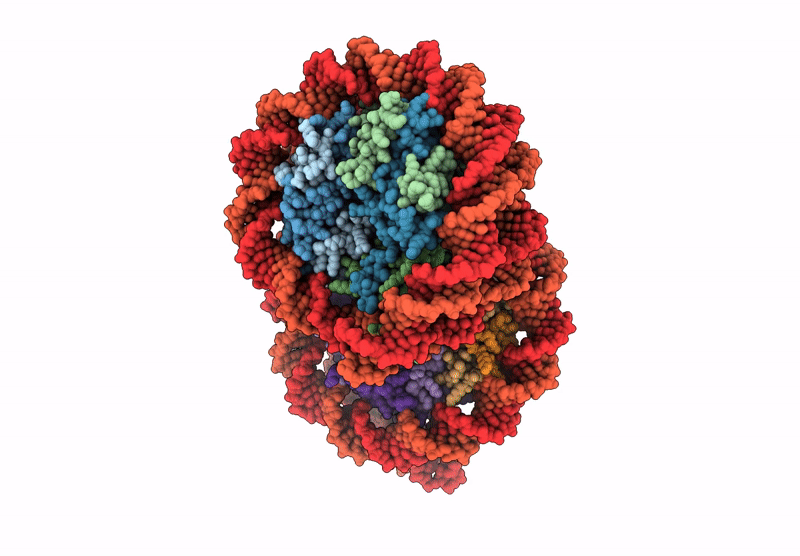 8Y3C image