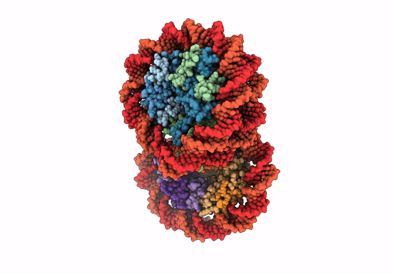 8Y3D image