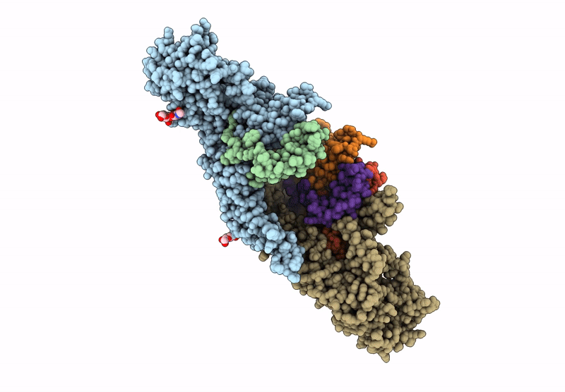 8Y3J image