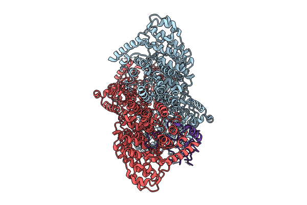 8Y3M image