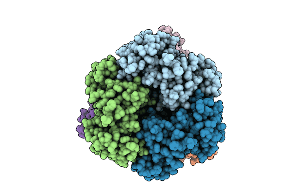8Y3P image