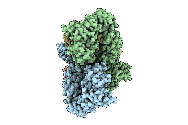 8Y3W image