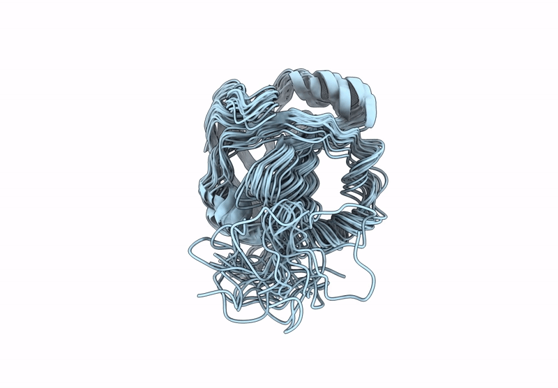 8Y4L image