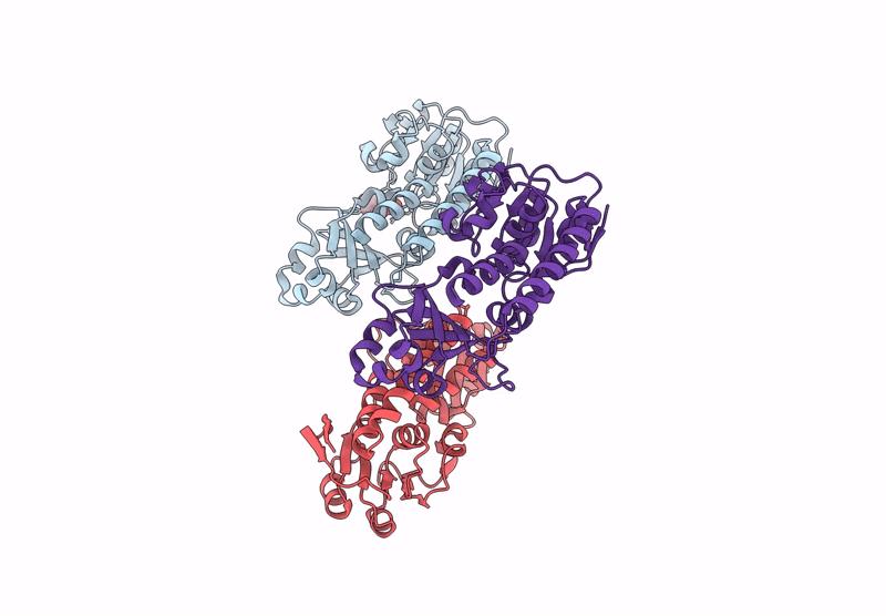 8Y4V image