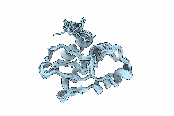 8Y4Z image
