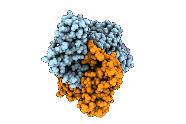 8Y5I image
