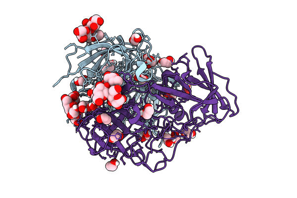 8Y6C image