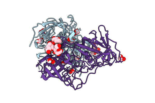 8Y6D image
