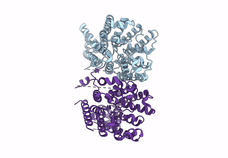 8Y6M image