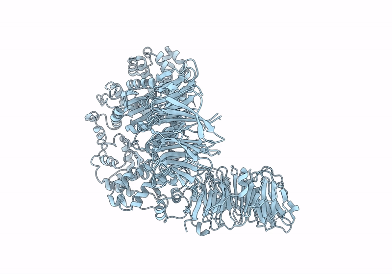 8Y6P image